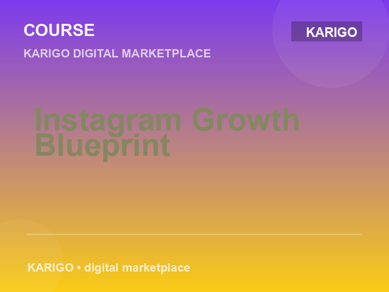 Instagram Growth Blueprint